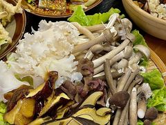 -阿山卓·野生菌火锅·纳西火塘烤肉