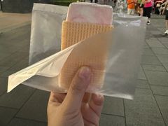 -詹爷爷乌节路街头冰淇淋