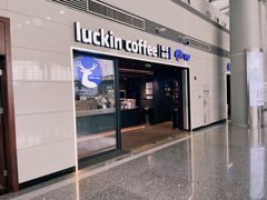 -石家庄正定国际机场-T2航站楼