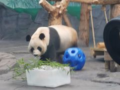 -秦皇岛野生动物园