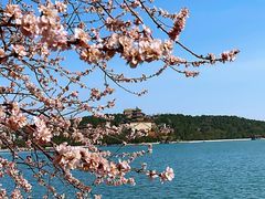 -颐和园