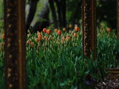-上海鲜花港