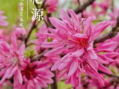 -渭南桃花源民俗文化园