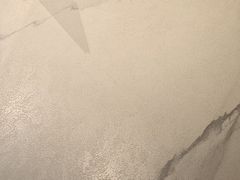 -鹅冠港式茶餐厅(来福士店)