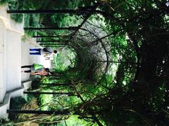 蓬莱阁景区-蓬莱阁景区