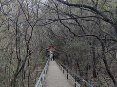 -惠山国家森林公园