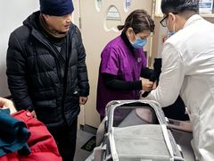 -宠颐生宠物医院·异宠猫科内科·诊疗中心宠巢店