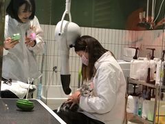 -電力宠物公司(武定路店)
