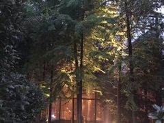 -杭州西溪喜来登度假大酒店