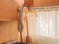 -左悦·艾灸调理·推拿按摩·精油SPA(卓悦汇店)