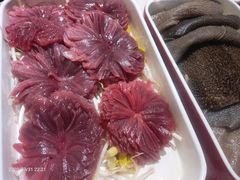 -钢管厂五区小郡肝火锅串串香(总店)