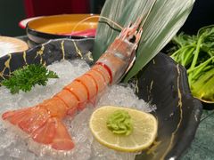 -牛New寿喜烧(金鹰世界店)