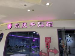 -水灵子·专注成人零基础