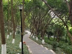 -龙头寺公园