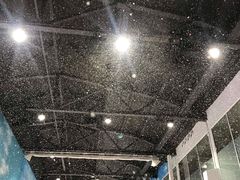 -Mr·Kuma酷么先生雪之乐园