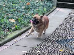-重庆彩云湖湿地公园