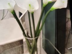 -福奈特洗衣洗鞋(广泉路店)
