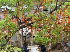 -田园印象·成都土菜院子(华阳店)