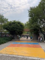 -大望京儿童游乐场