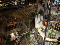 -Rainforest