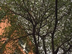 -华南理工大学(大学城校区)