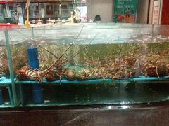 -阿伟海鲜楼·福建菜(延寿店)
