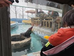 -南京金牛湖风景区