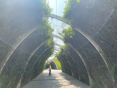 -天津东丽湖风景区