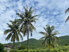 -三亚南山文化旅游区