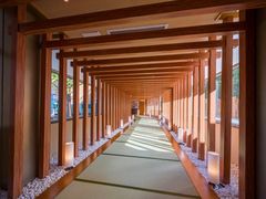 -重庆南山海昌汤都
