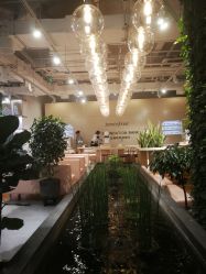 -悦诗风吟innisfree