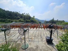 -天强农家菜馆