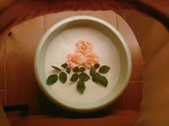 -Dragonfly悠庭·按摩Spa(静安嘉里中心店)