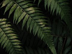 -Kekimatata 生日蛋糕·烘焙教学