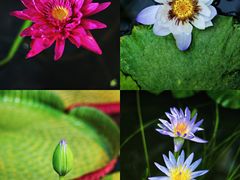 -国家植物园南园