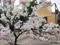 -杭州平安悦坊 PAFC LIVING