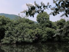 -龙坞茶村