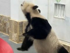 -无锡动物园·太湖欢乐园