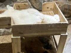 -绿色星球动物主题公园