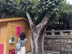 -朱记手撕鸡(八市店)