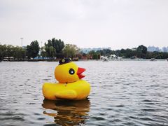 -朝阳公园游乐园