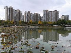 -新江湾城公园