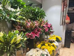 -沪花拾者(好再来花卉鲜花店)