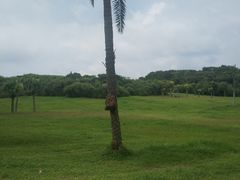 -鹅銮鼻公园