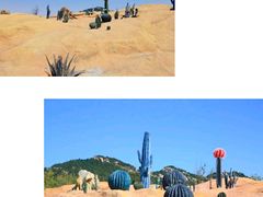 -西海岸生态观光园