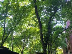 -蘭·日本料理铁板烧(碧云路店)