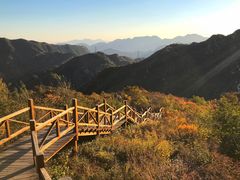 -大岭沟猕猴桃谷风景区
