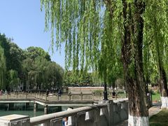 -温江公园