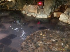 -湖泉半山温泉(湖泉生态园)