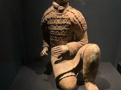 -陕西自然博物馆